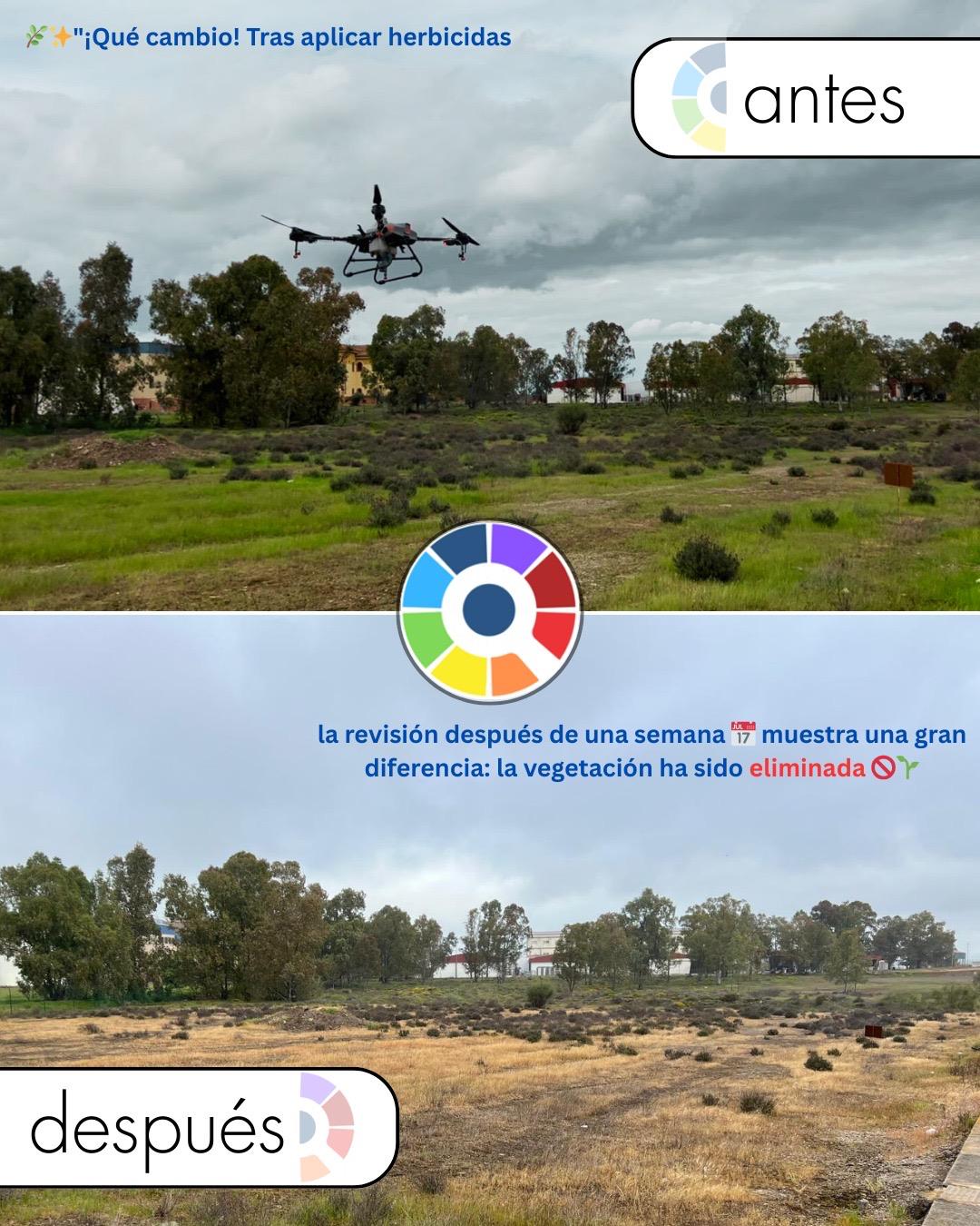 Comparativa completa antes y despu&eacute;s del tratamiento con herbicida